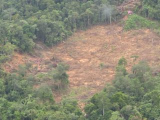 Menteri KLH Hanif Faisol temukan bukti perusakan hutan di Aceh Timur saat tinjau banjir