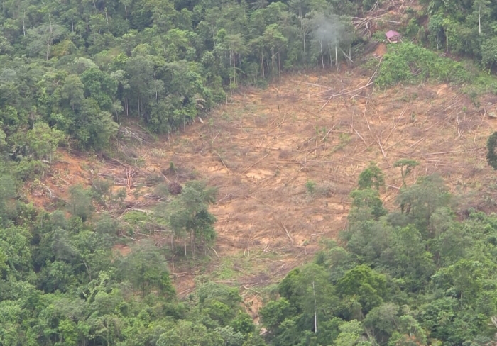 Menteri KLH Hanif Faisol temukan bukti perusakan hutan di Aceh Timur saat tinjau banjir